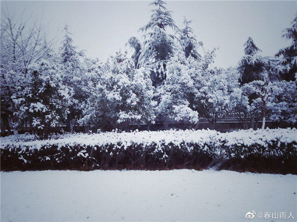 【圖說淮南】——2022年淮南第一場雪！來的遲嗎？
