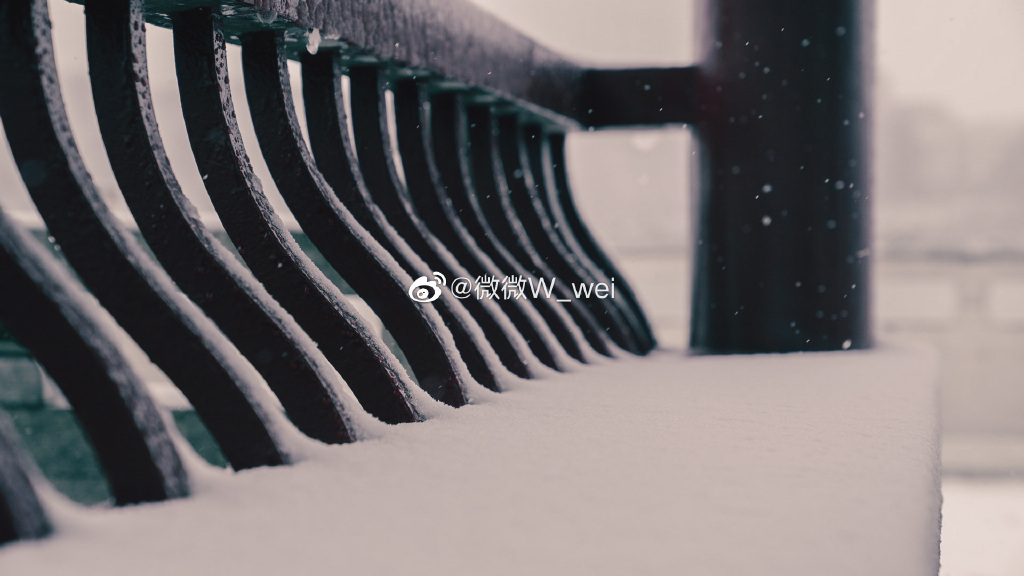 【圖說淮南】——太棒了！淮南龍湖公園的雪景你看過嗎！