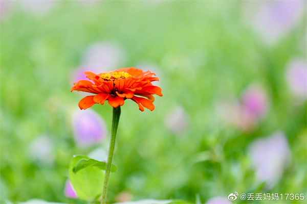 【圖說淮南】——今日芒種，愿你“芒”有所獲，“種”有所得