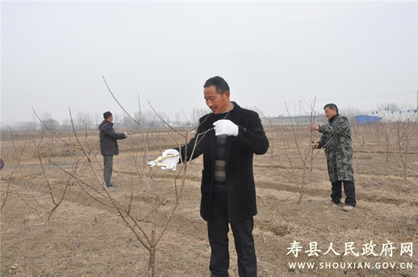 淮南壽縣：加強新型農業經營主體建設促進農民增收