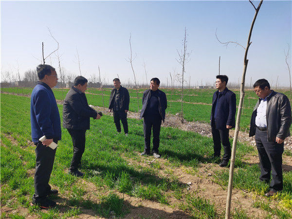 淮南市林業局局長魯金杰調研指導春季植樹造林工作