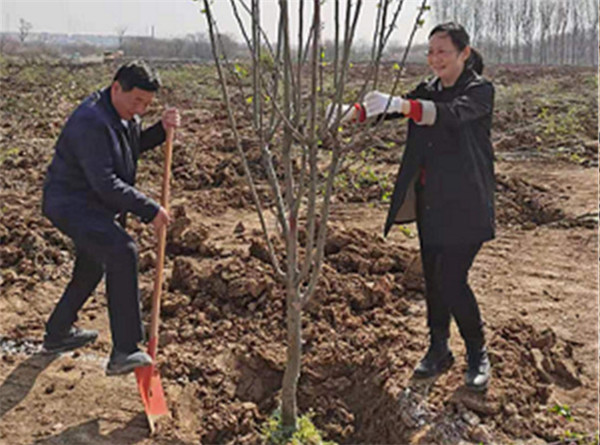 淮南市大通區紀委積極參與義務植樹活動