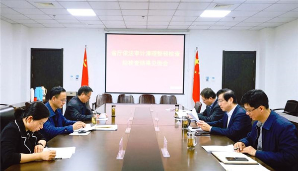 淮南：安徽省廳依法審計專項清理檢查組在淮檢查并反饋情況